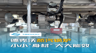 德克沃蒸汽鍋爐丨小小“身材”大大能效